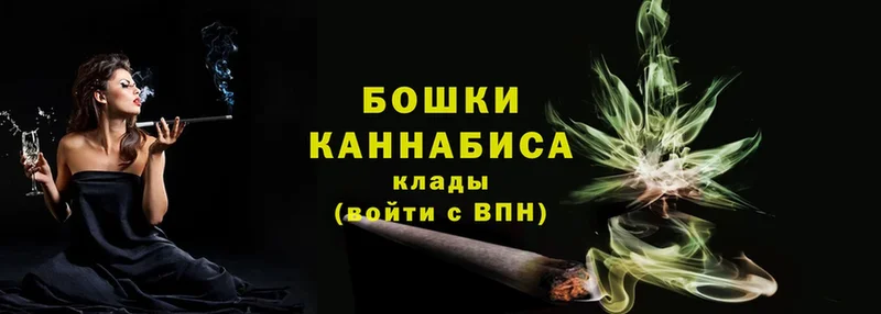 купить наркотик  Вязьма  Марихуана OG Kush 